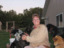 Mia Betty, Molly & Teddie at Black Dog Ranch