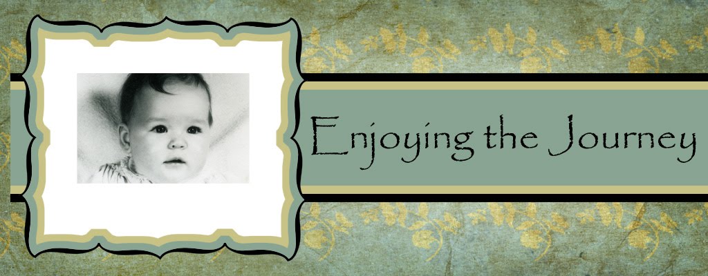 Enjoying the Journey