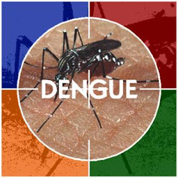 combate a dengue em Cambuquira