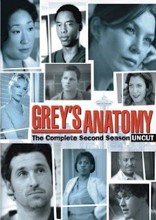 Baixar   Grey’s Anatomy 2ª Temporada Completa Legendado