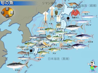 CLICK for original Japanese ... Fish of the Season SHUN