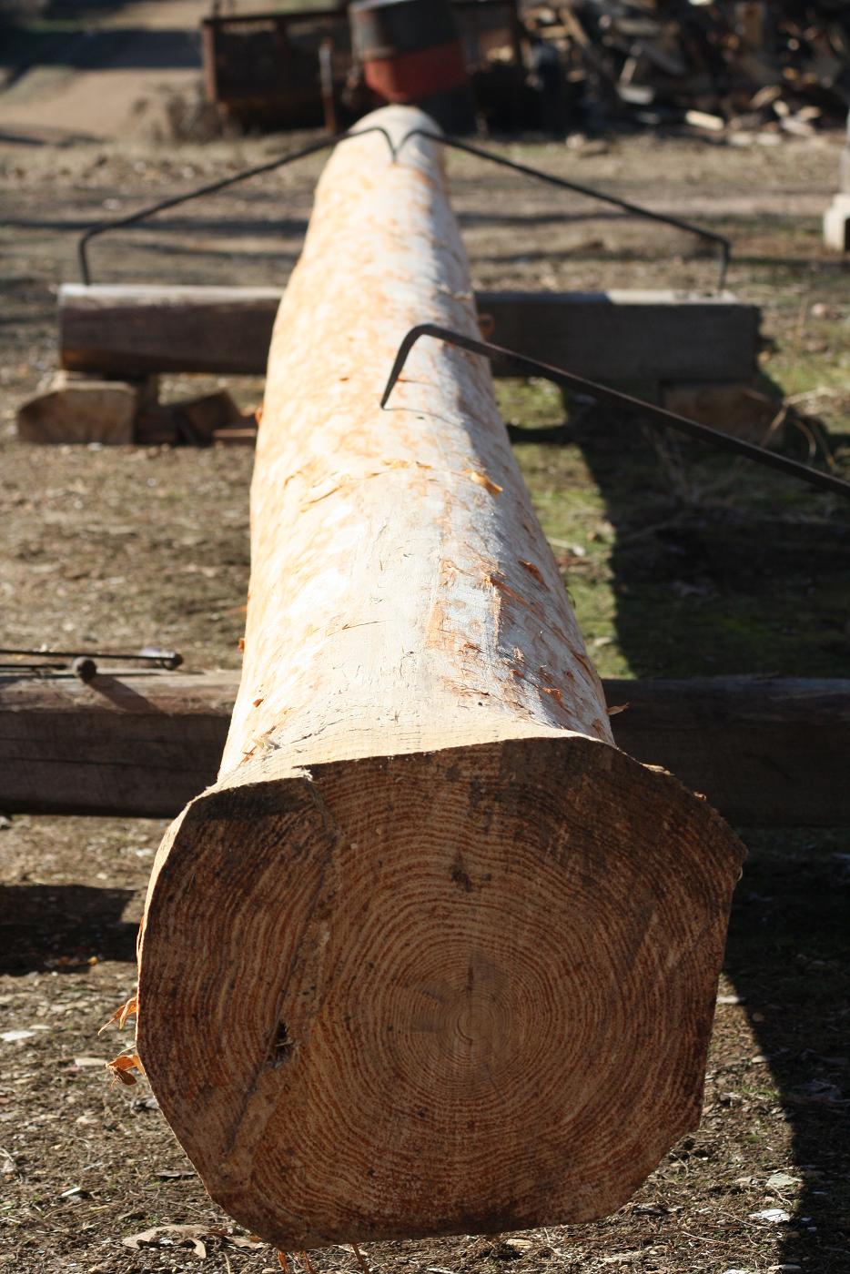 SUZY'S CABIN Bark Removal