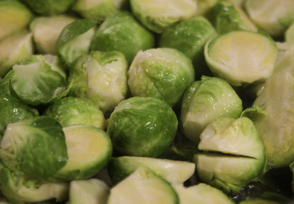 bearded-dragon-brussel-sprouts-8.jpg bearded-dragon-brussel-sprouts-8.jpg