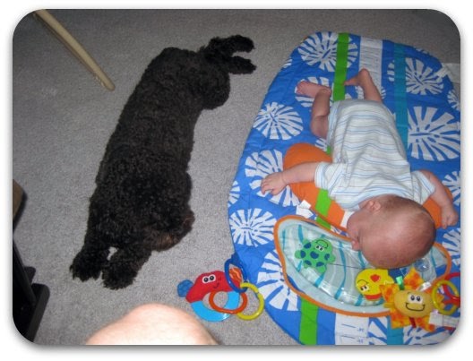 Tryitmom Infantino Surfboard Tummy Time Mat Is Cute But Unnecessary