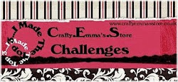 CRAFTY EMMA's STORE CHALLENGES