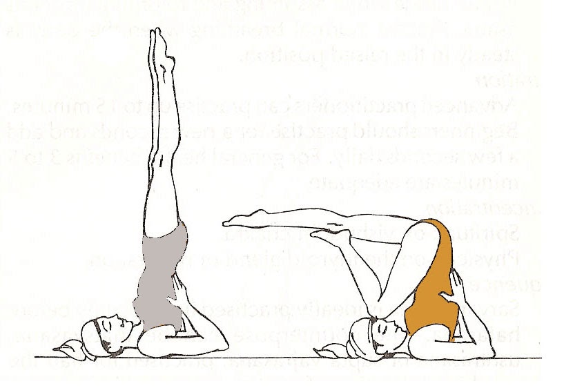 videos de clases de yoga para adelgazar videos de clases de yoga para adelgazar