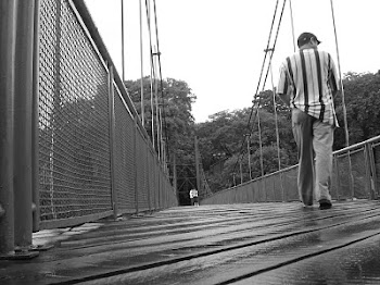 Pela ponte da vida, atravesso os espaços do tempo!