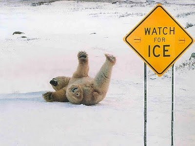 Funny Signs For Wildlife