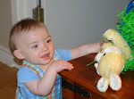 Matt Finds Bunny