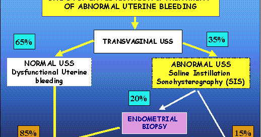 Acog Algorithm Abnormal Uterine Bleeding Abnormal Uterine Bleeding
