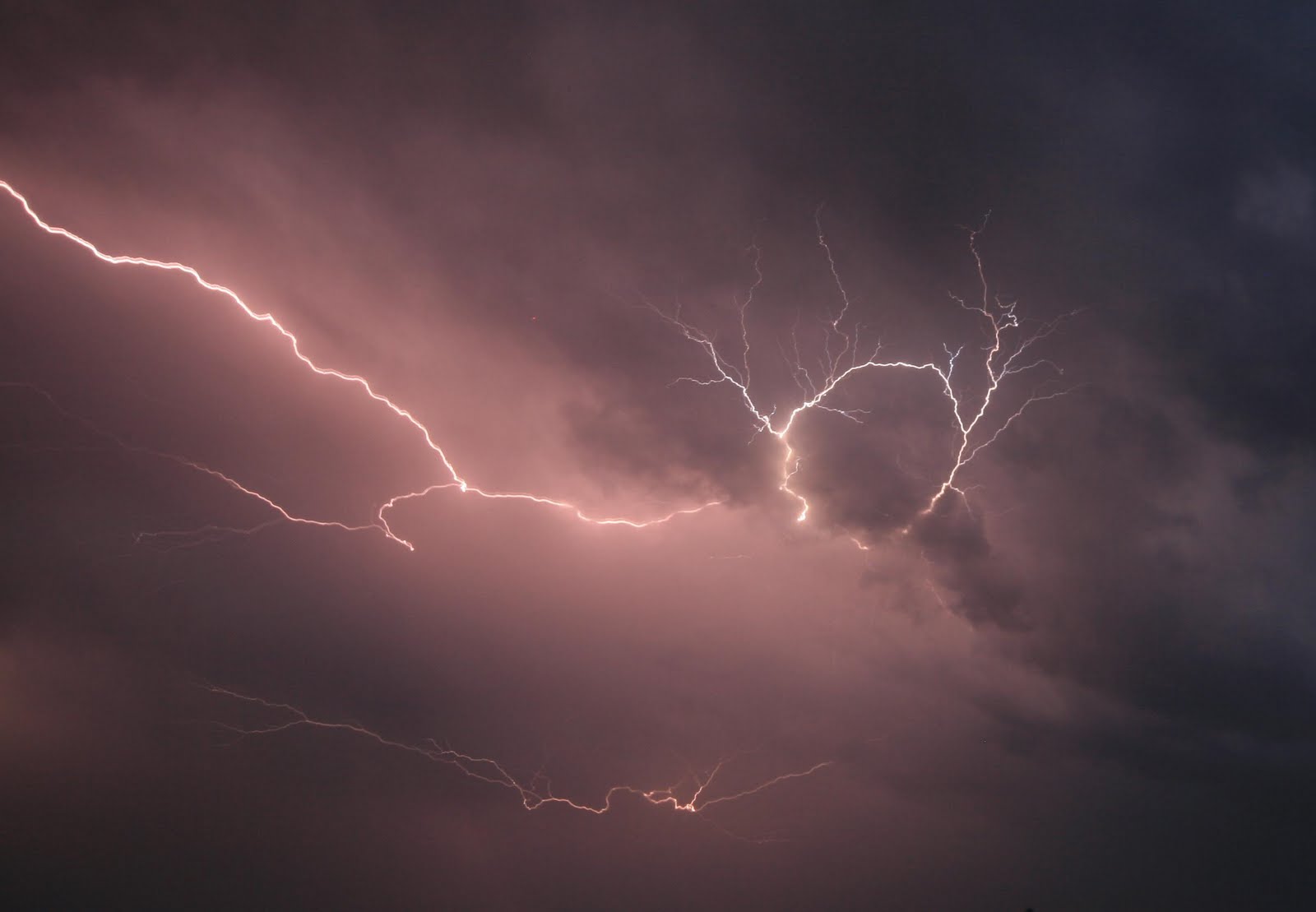 Flies The Loon Thunder and Lightning!