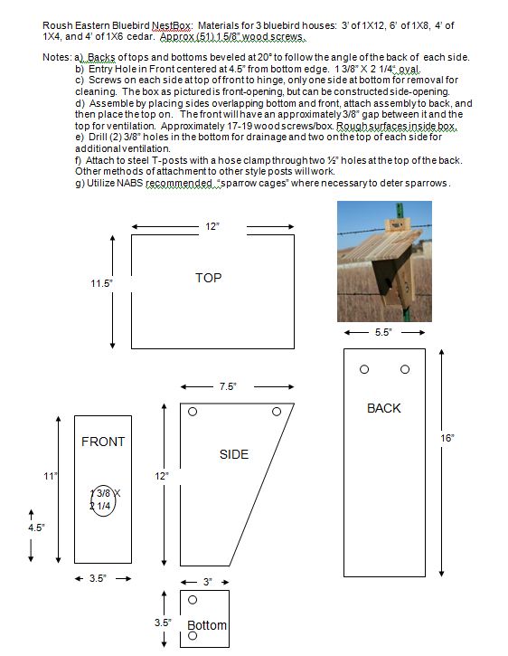 Blue Jay Nesting Box Plans