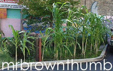 [Parking+Lot+farm.jpg]