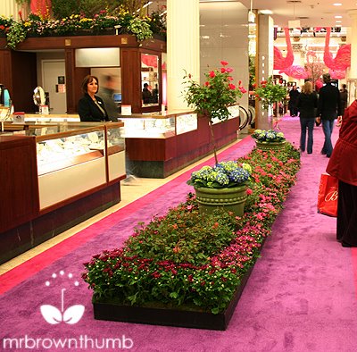 [Garden+with+Standard+Topiaries.jpg]