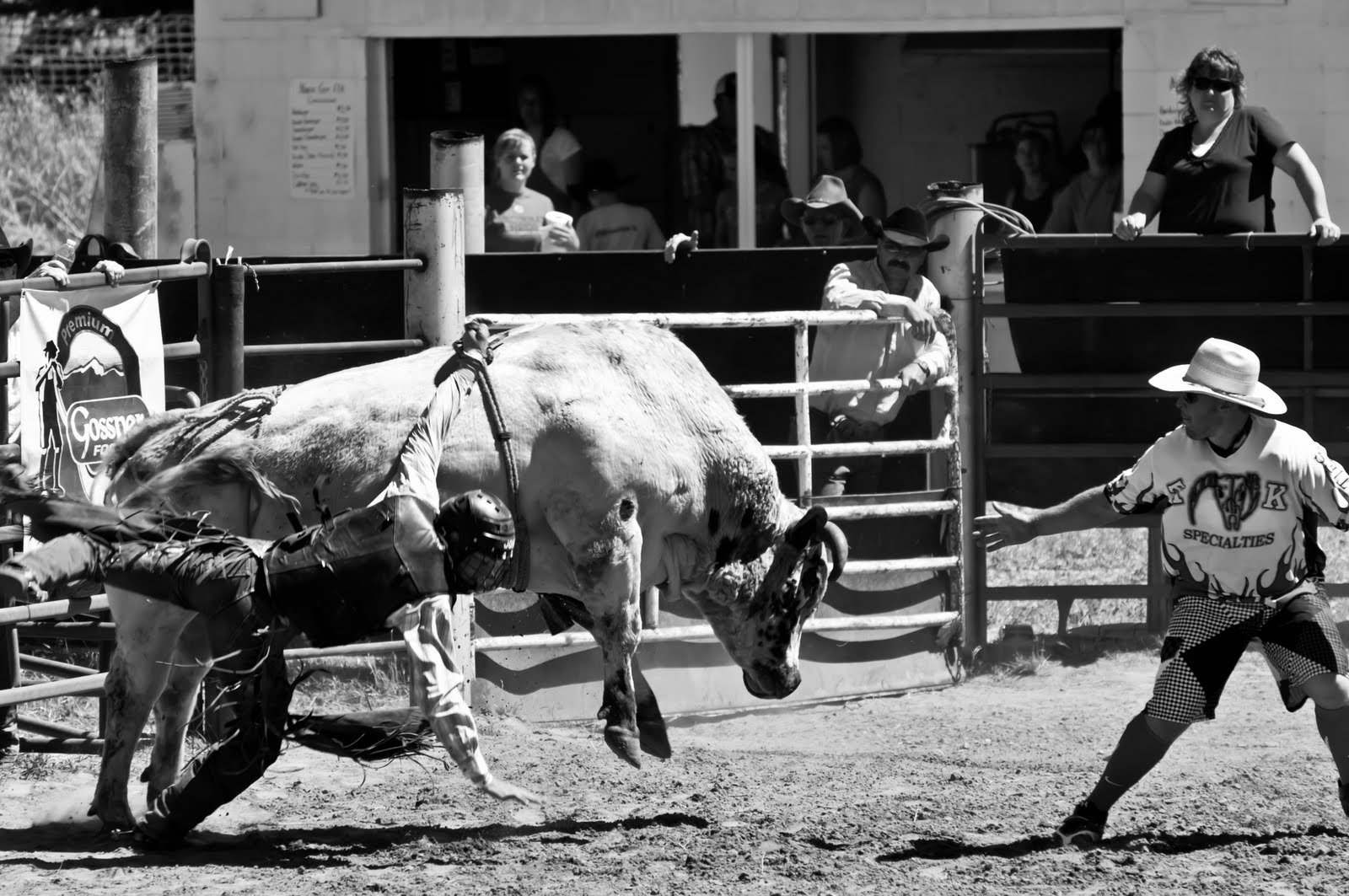 Bradens Adventure and Photo