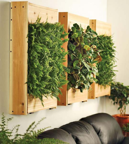 BeeBee.Grace: Wall/Hanging Plants