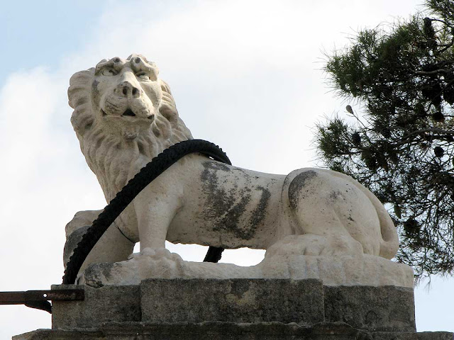 Lions of Ardenza, Livorno