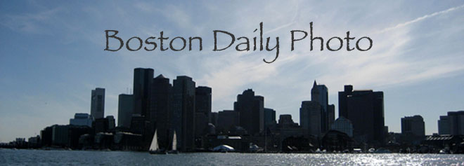 Boston Daily Photo