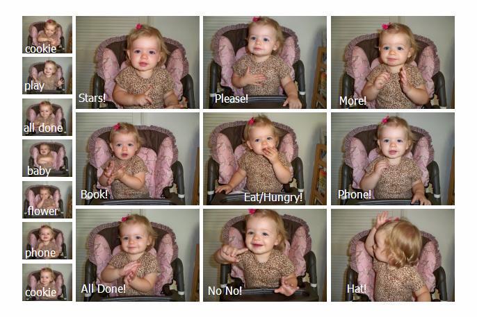Little Hands Baby Signs