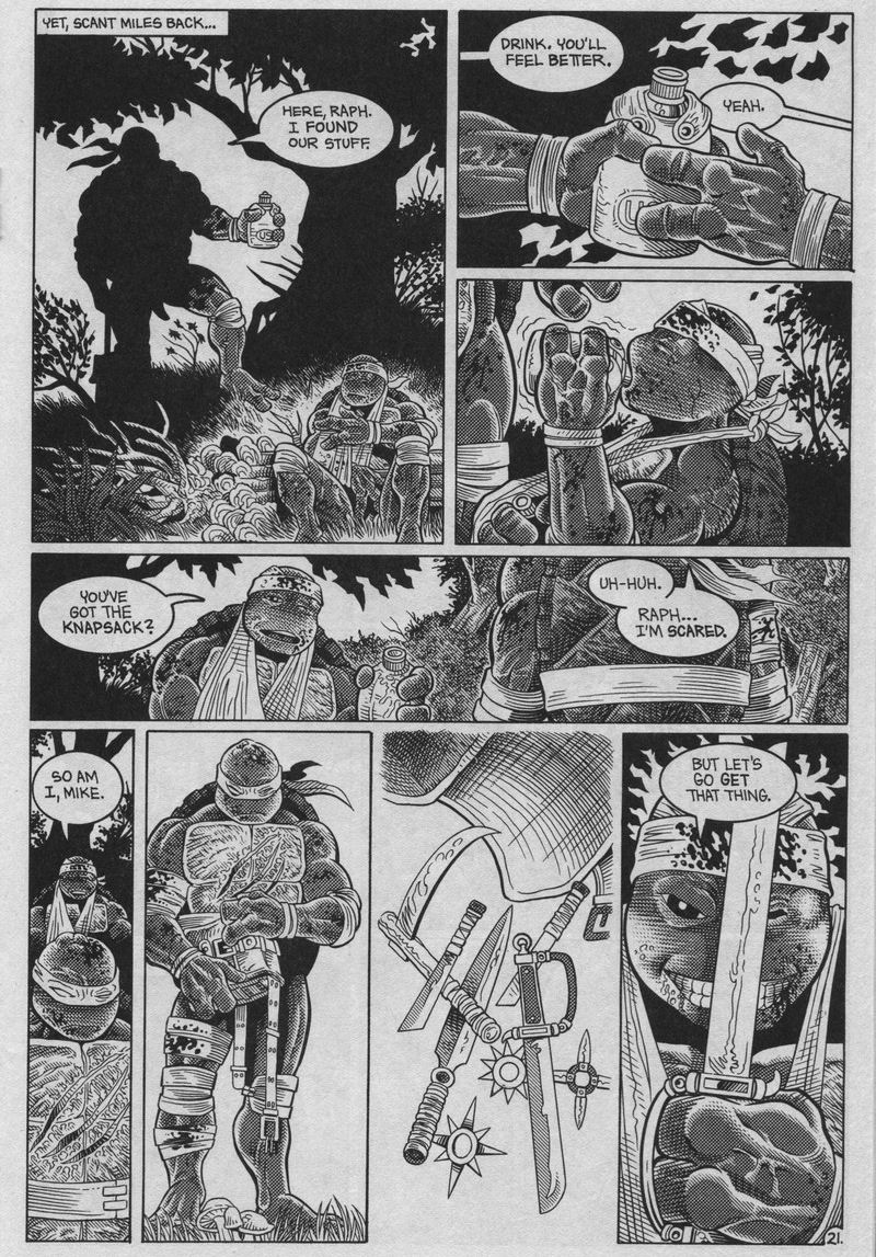 Read online Teenage Mutant Ninja Turtles (1984) comic -  Issue #37 - 21