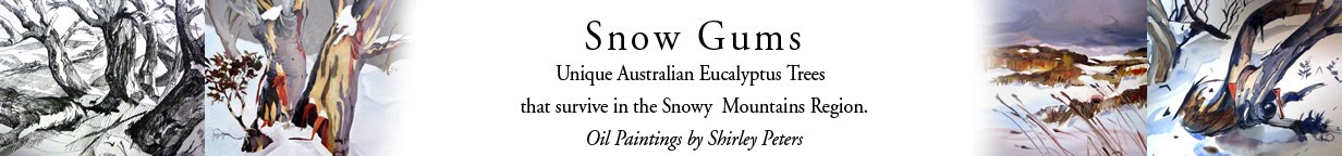 Snow Gums Blog
