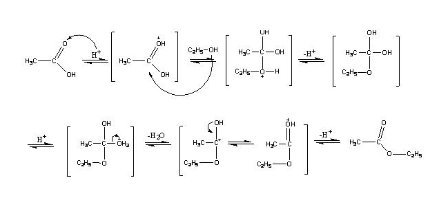 Intuition: Pembuatan Etil Asetat Melalui Reaksi Esterifikasi