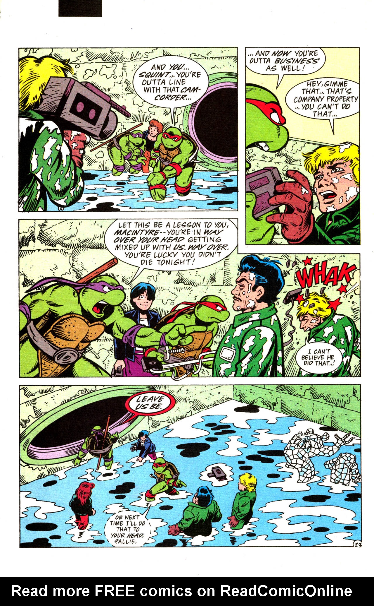 Read online Teenage Mutant Ninja Turtles Adventures (1989) comic -  Issue #52 - 25