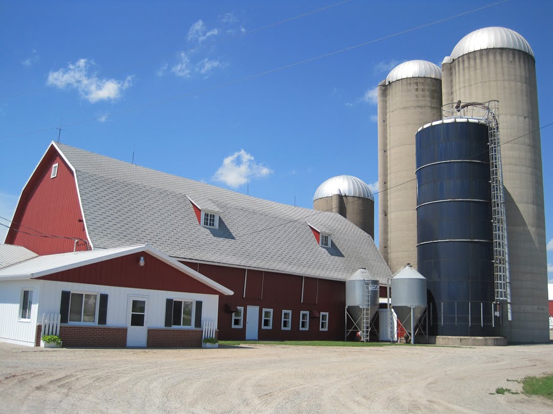 Tea With Friends Visit to a dairy farm