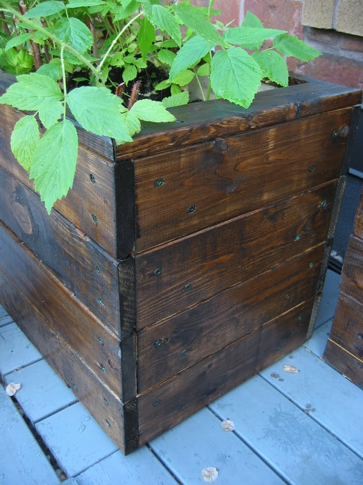 Urban Planter Boxes Yummy Raspberries