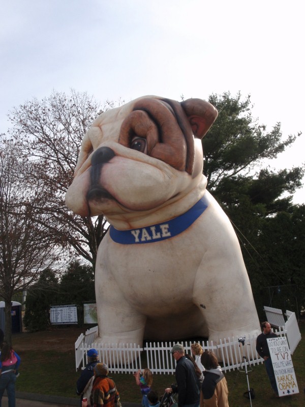 Pudding in my Pocket: BULLDOG DAYS! Pudding in my Pocket: BULLDOG DAYS!