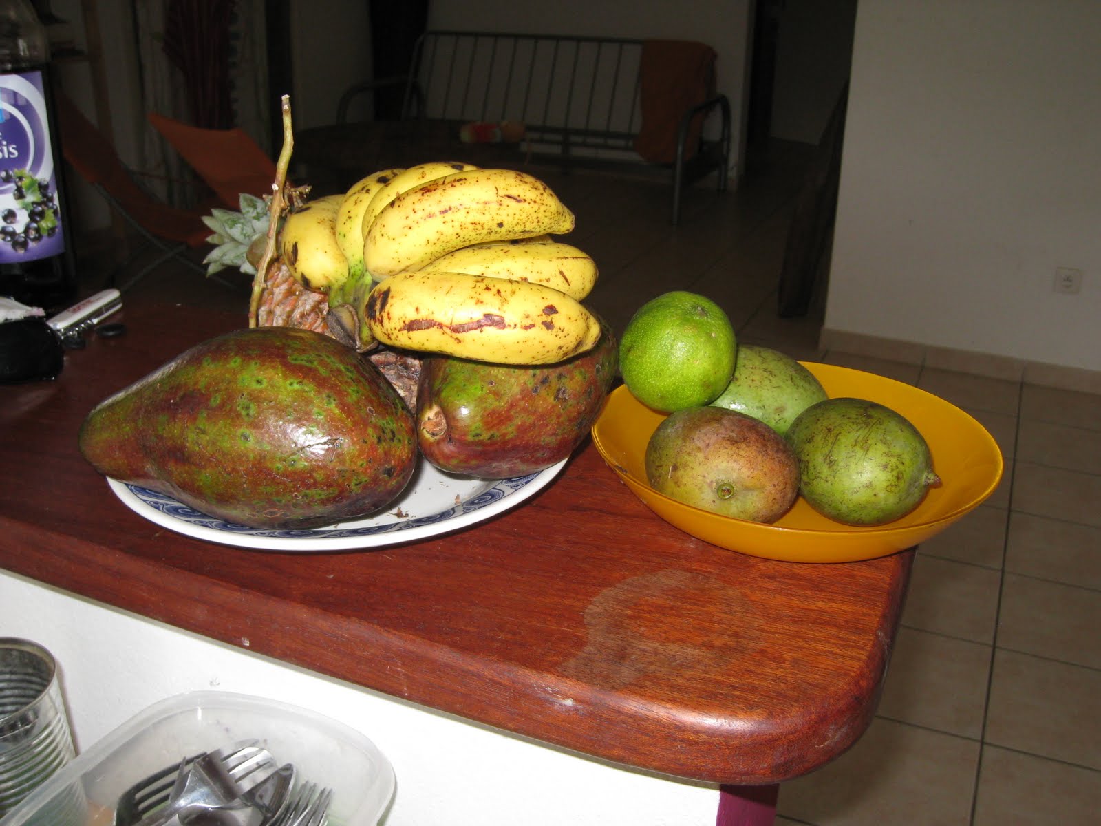 Green jackets aventures Les fruits de Guyane / French Guiana fruits