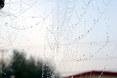 The Web