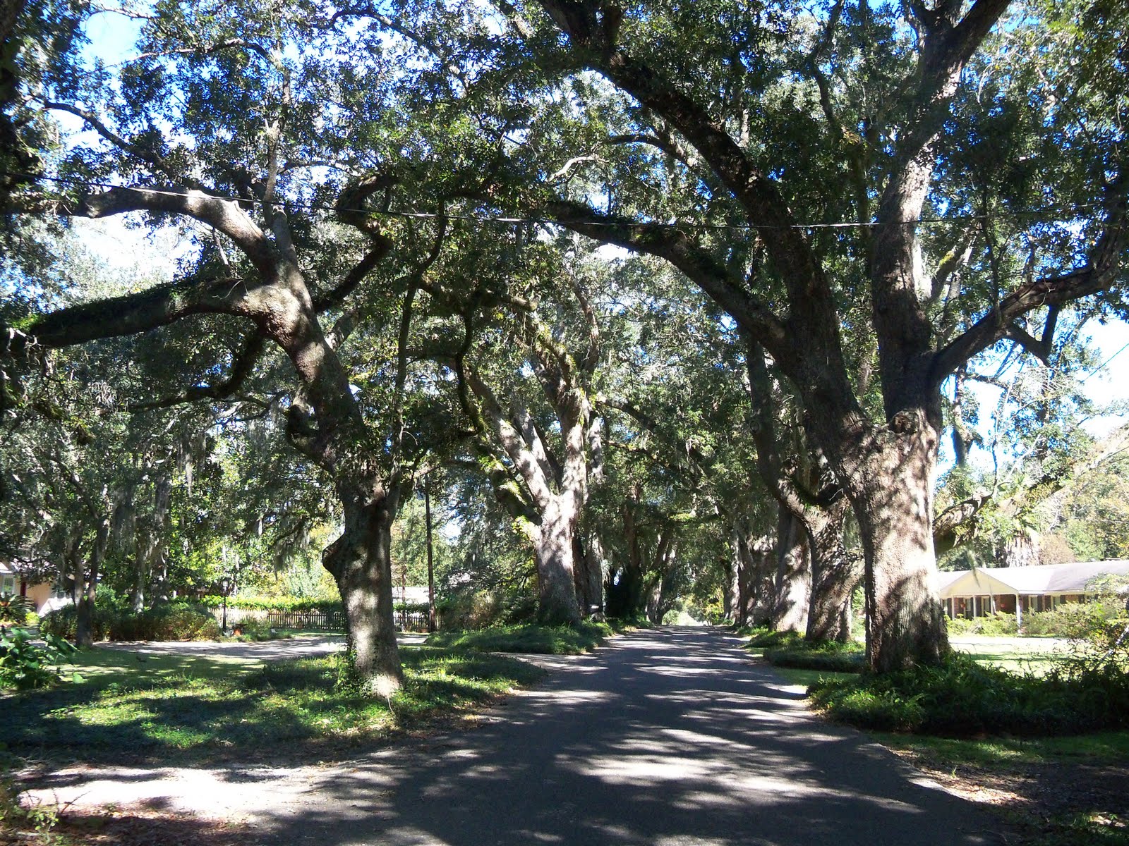 Moss Point, MS History Scenes around Moss Point