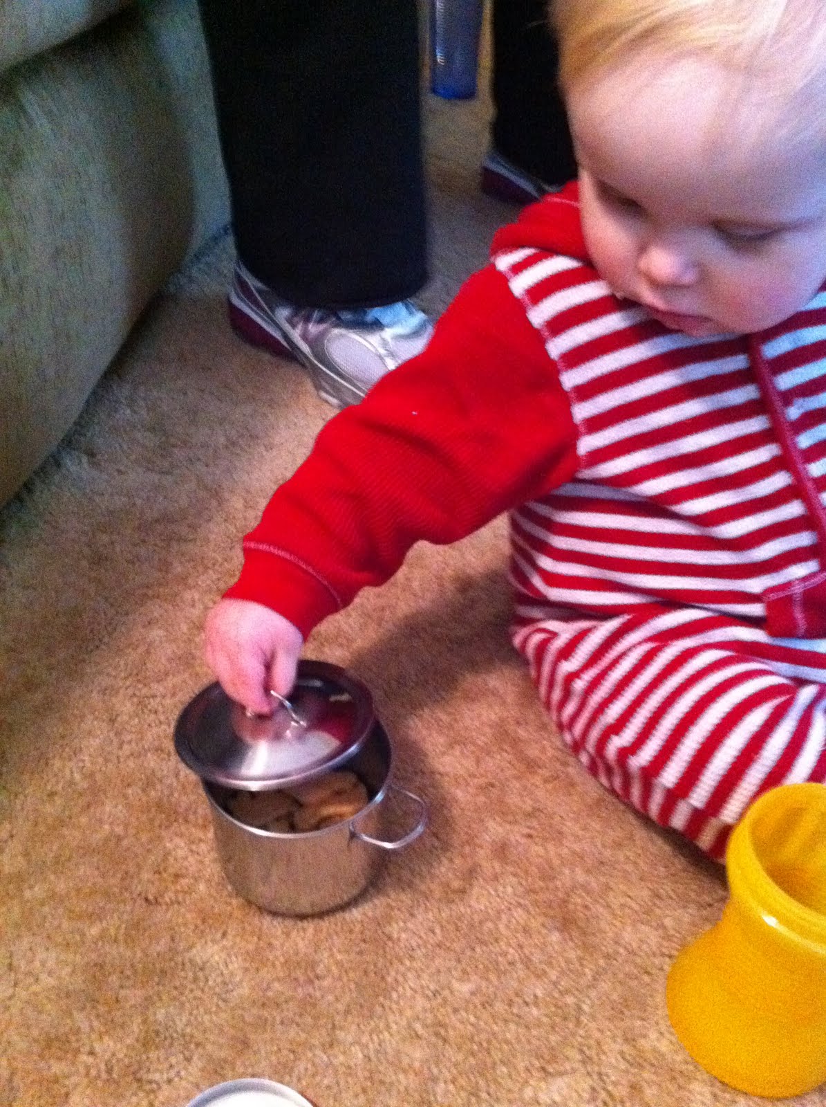 The Burgilton Animal Crackers in My Soup