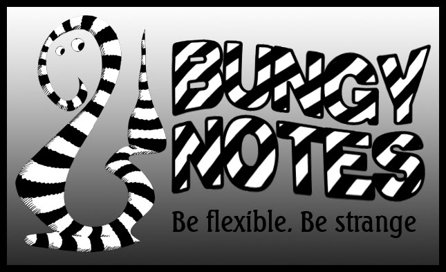 Bungy Notes