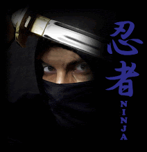 Ninja In Different Language