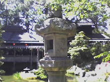 Japanese Tea Gardens