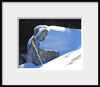 A framed photo of a large snow covered granite boulder shelters a lone golden stem of mullein, a remnant of summer past.