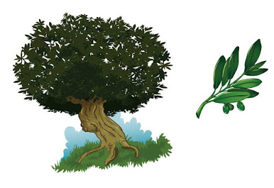 ilustracion olivo