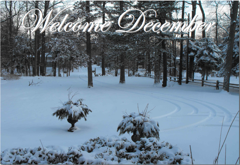 Glamour Begins At Home: Welcome December