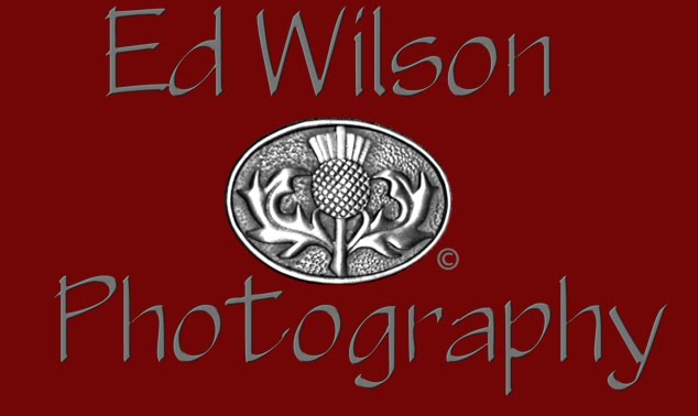 Ed-Wilson  Portraits