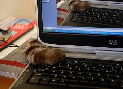 Recursive cat can has your desktop!