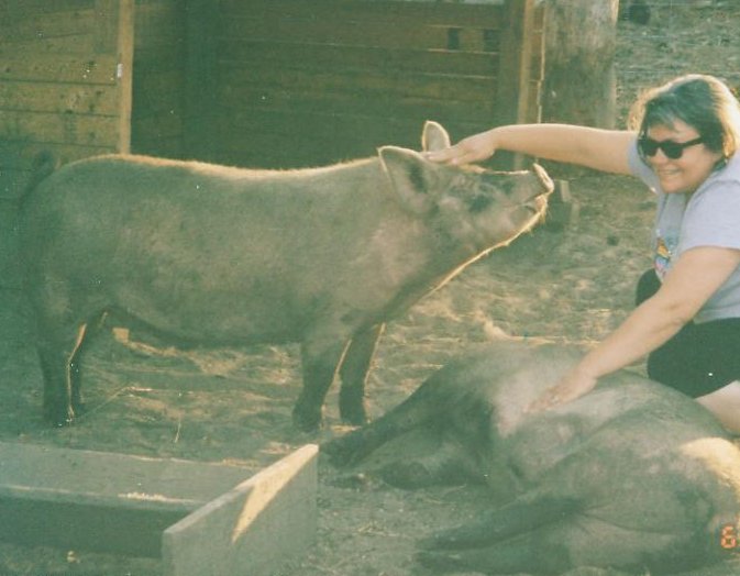 [lori&pigs-a.jpg]