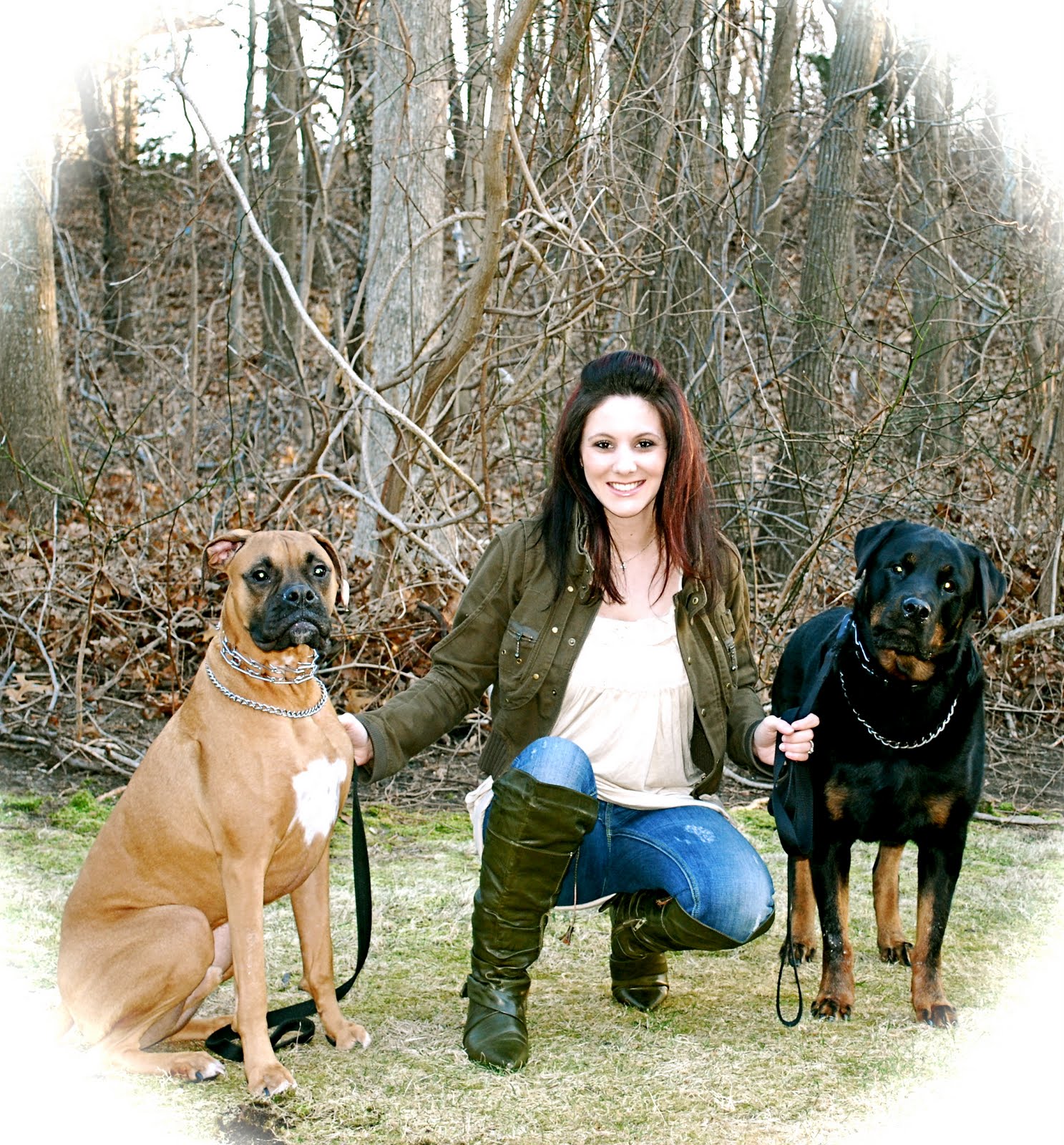 Bark Buckle UP How to Choose the Right Puppy Temperament WISE