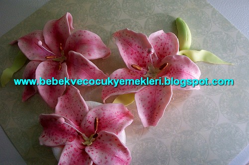 [sekerhamurucicek6.jpg]