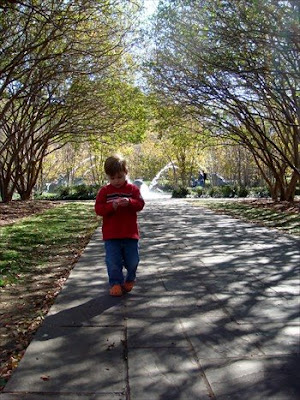 rhett walks down the tree tunnel in the dallas botanical gardens