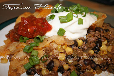 Texican Hash Recipe by KidsActivitiesBlog.Com
