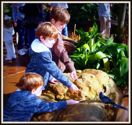 [threeboysfeedbird.jpg]