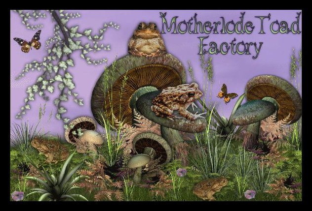 Motherlode Toad Factory