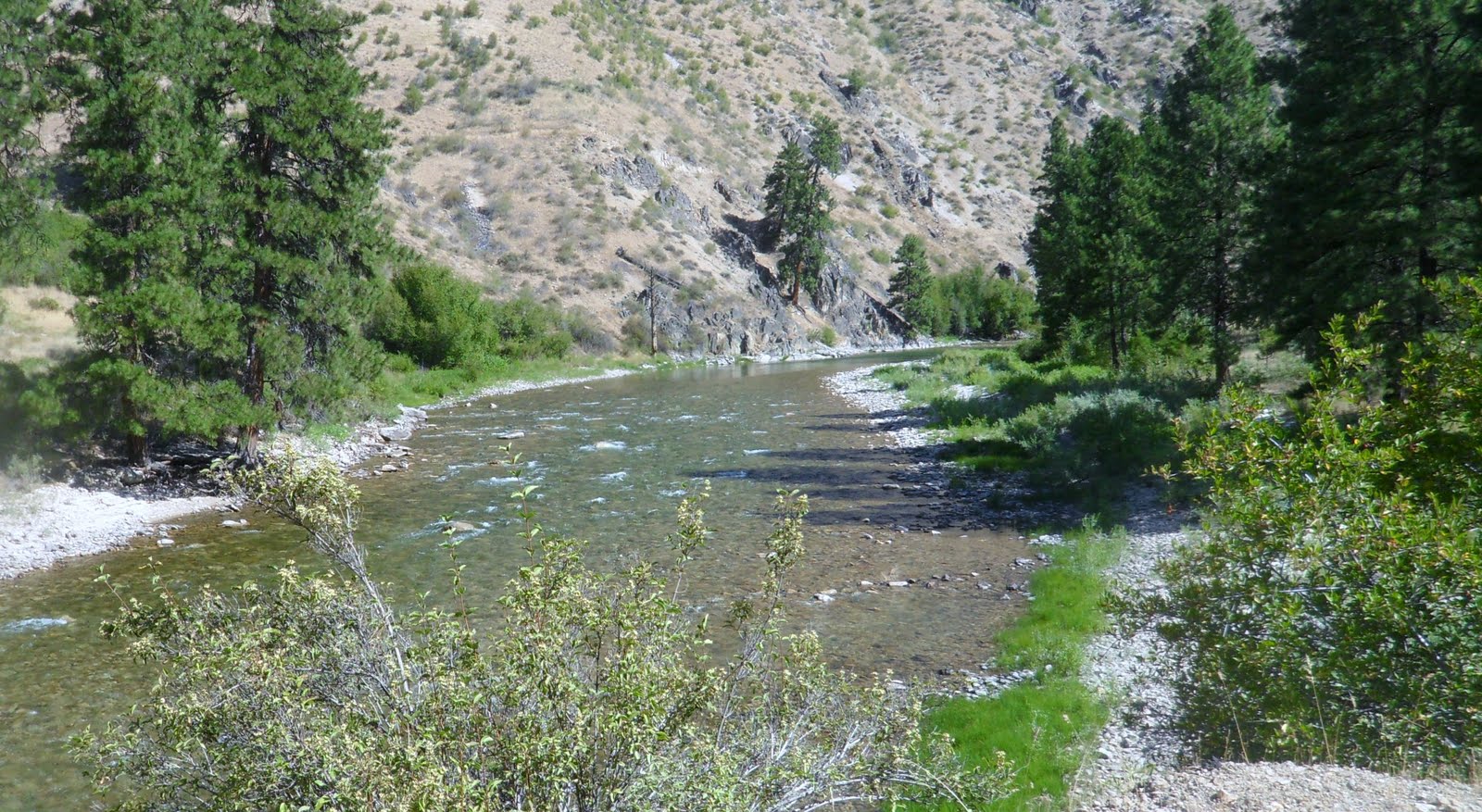 flowing waters Day 2 Middle Fork of the Boise River